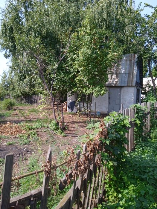 Дача сад Северный