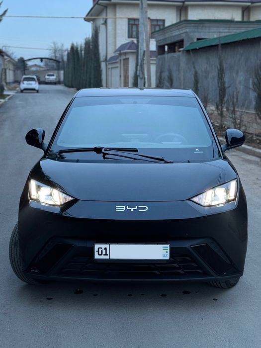 Byd Seagull сотилади