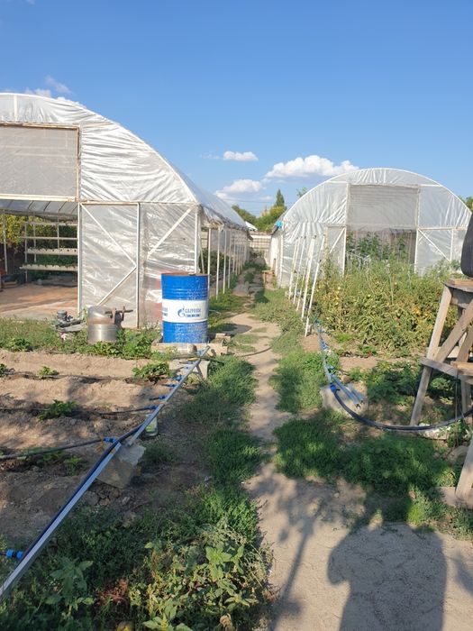 Теплица в сборе с всеми наворотами