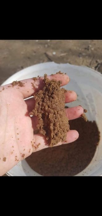 Nada faina de peste pelete crap