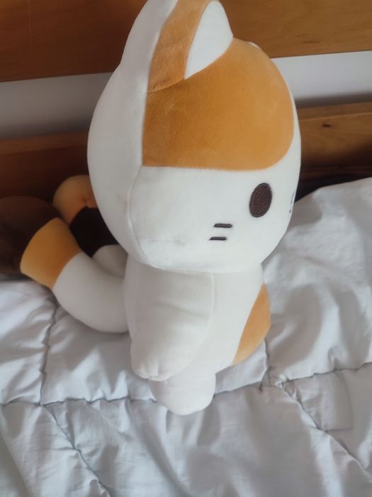 Un plus pisica alba-portocalie