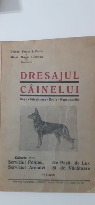 6 carti tip vintige