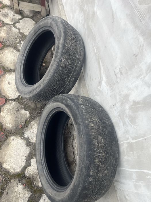 Резина 225/55/17