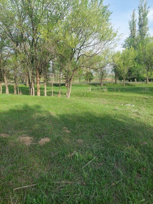 Продам участок 43 сотки