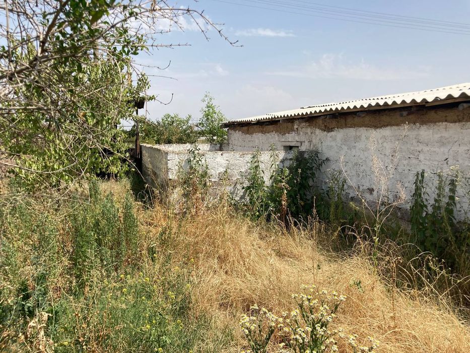 Дачный участок для бизнеса