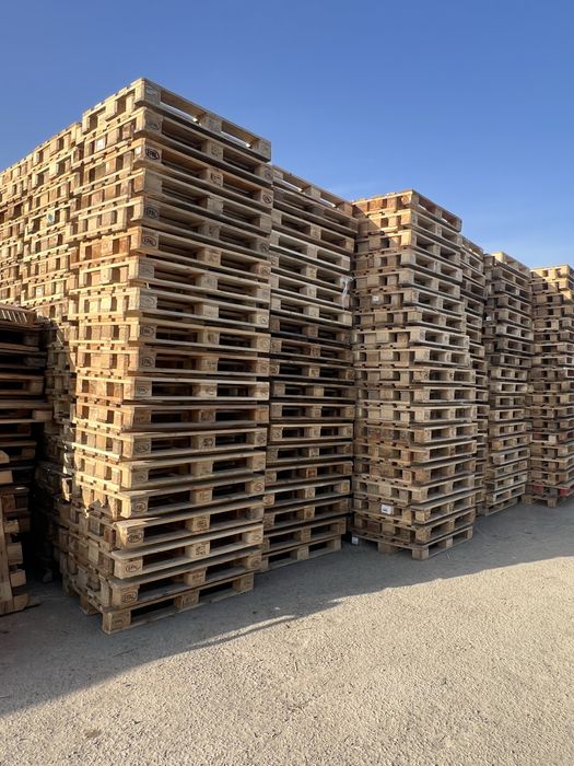 Paddon yevro 80/120 orginal