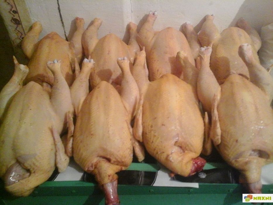 Бройлер Мясо Деревенское
