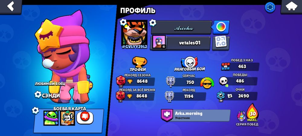 Акаунт в brawl stars