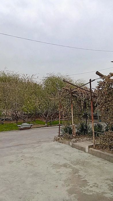 Очень срочно продается готовая ферма 1,27 Га Маданият