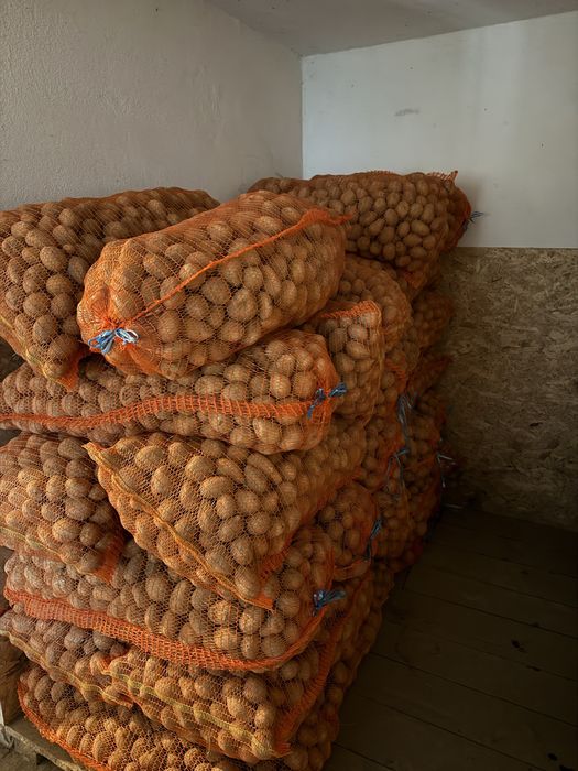 Cartofi de consum,samanta,animale