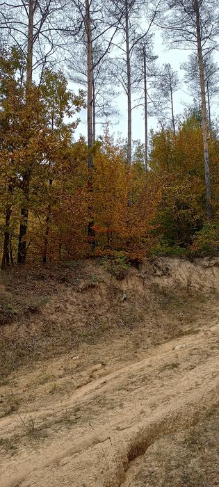 Продава се Земеделски имот в Смолян, в.з. Смолян -  кв.м за 1080 €/дка - Снимка #2