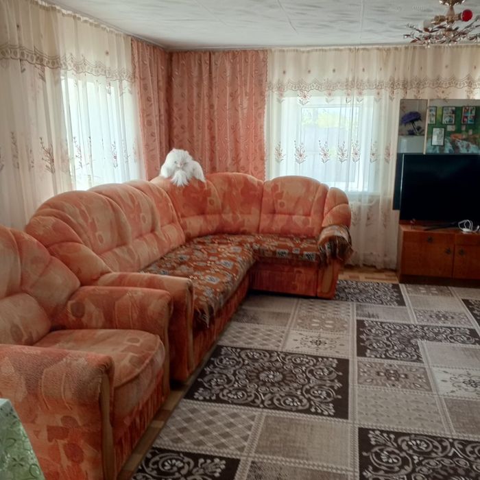 Продам дом в с Айет