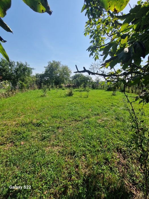 Casa de vânzare Uriu