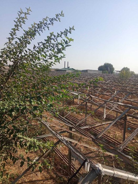 Земля 1 гектар на Юкоричирчик / Yer sotiladi 10 000kv yukori chirchiq