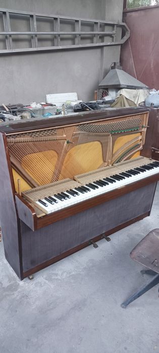 Настройка, реставрация, покраска