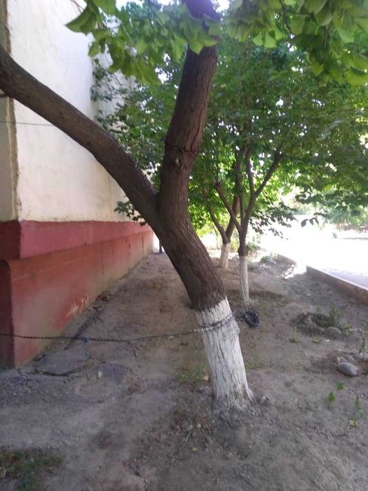 Город Ферагана улица А.Навоий дом 94 квартира 52.