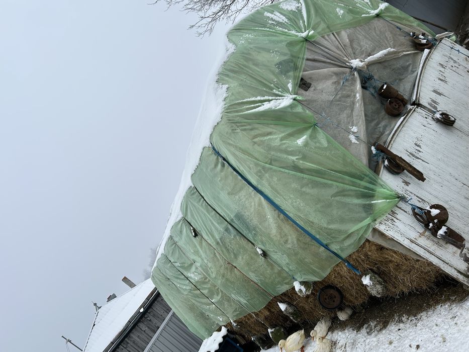 Baloti de vanzare lucerna