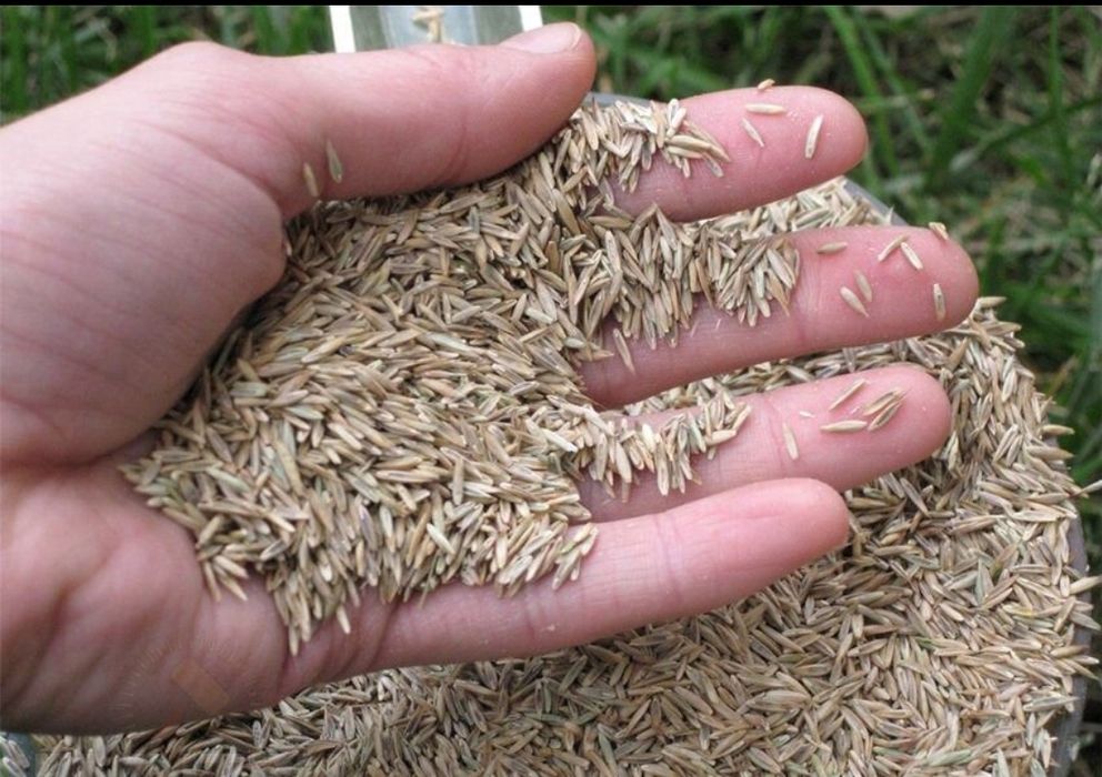 Услуги по посадке, удобрению и стрижке газона