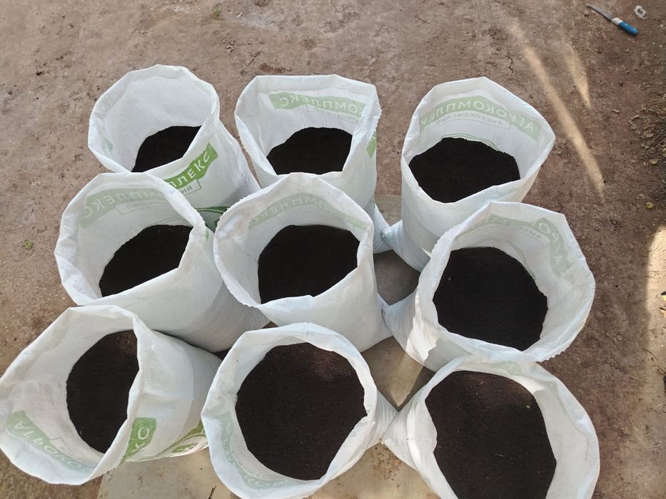 Чернозем, Перегной