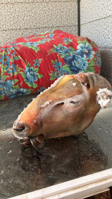 Бас қойдыңңңңңңң