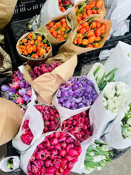 Тюльпан оптом 360тг