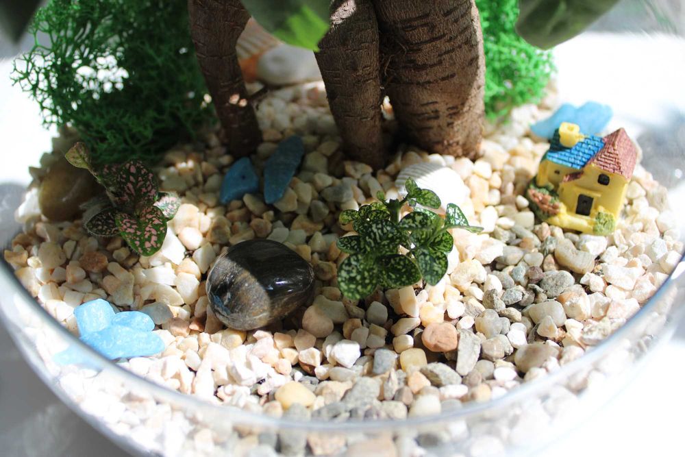 Флорариум с бонсай - подарък за рожден ден и др поводи