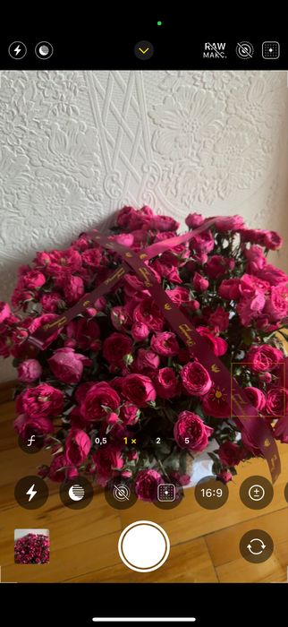 Цветы кустовые Алматы