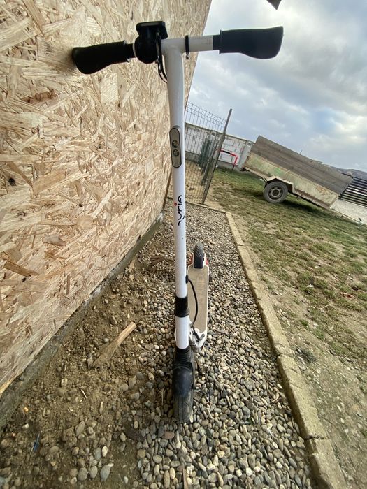 Myria Sky Rider Alba