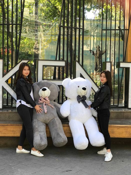 Красивые Мягкие Игрушки Плюшевые Жми Панда Тедди Большие Мишки Медведь