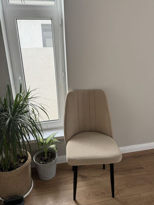 стулья  кухня зал