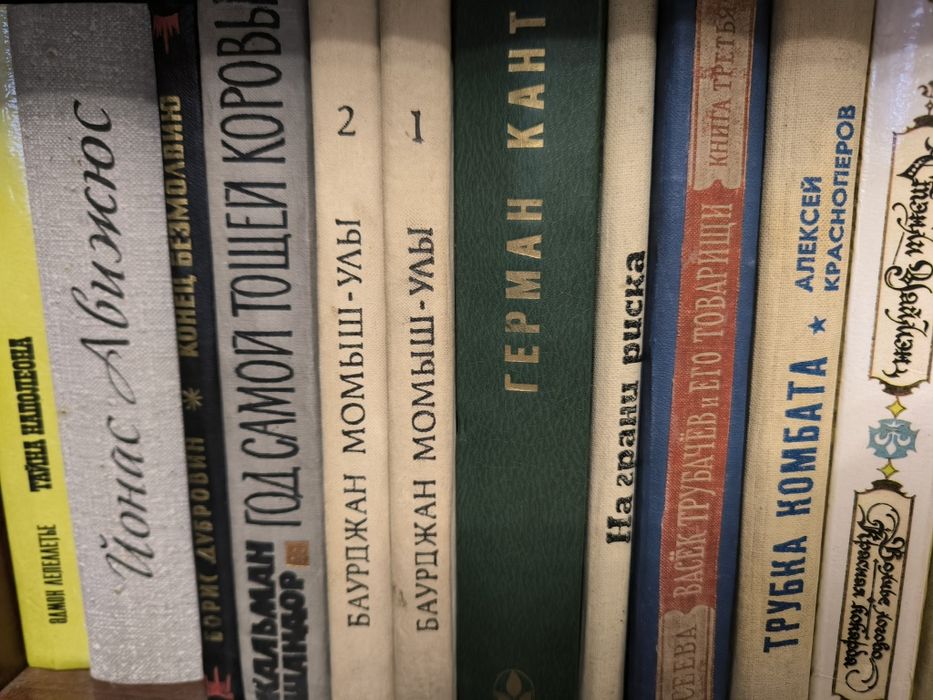 Художественная литература