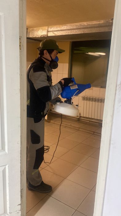 Дезинфекция клопов муравьев тараканов уничтожение грызунов крыс мышей