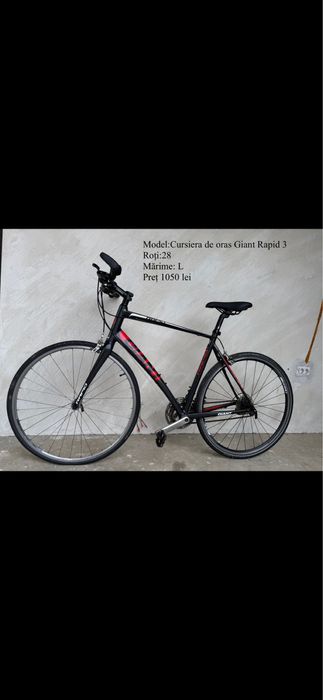 Bicicleta  de oraș/Cursiera  Giant Rapid 3