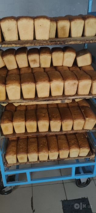 Ором нон хамкорлига таклиф етади
