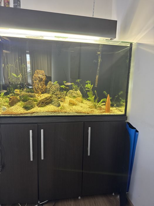 Acvariu 350litri  cu mobilier