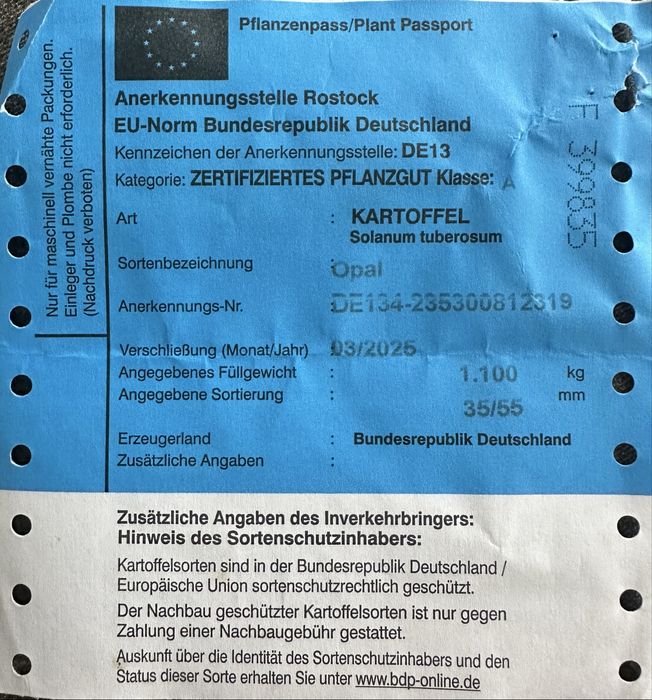 Sămânță de cartofi 2025