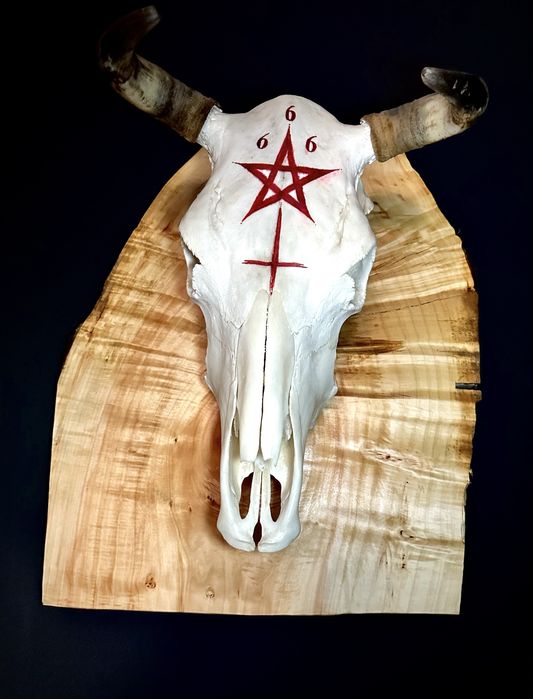 Череп ръчно изработен