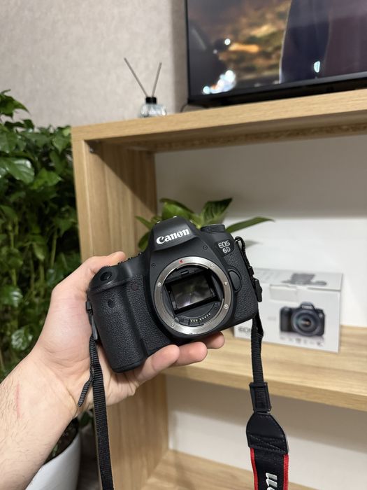 Canon 6D + Canon 70-200 Usm