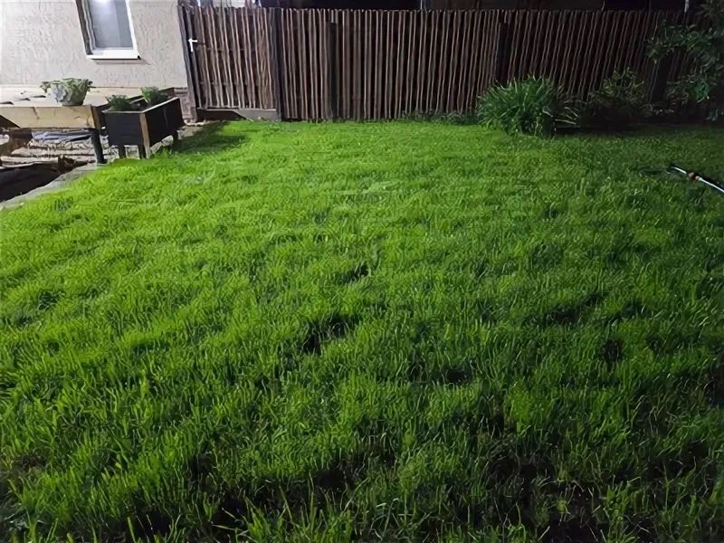 Газон Автопалив жұмысқа кепілдік 100%