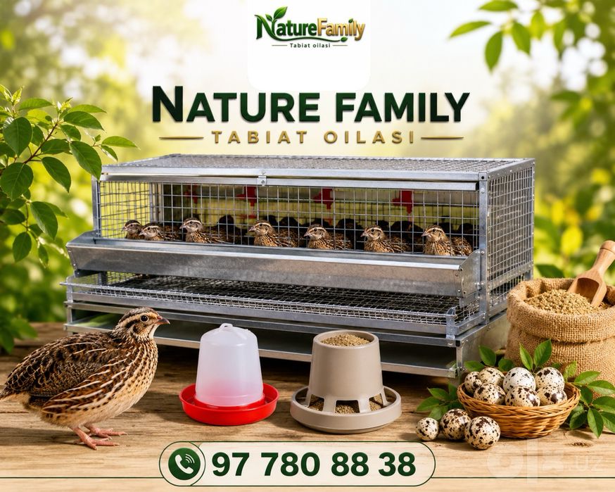 BEDANA Qafaslari | Toshkent | Nature Family