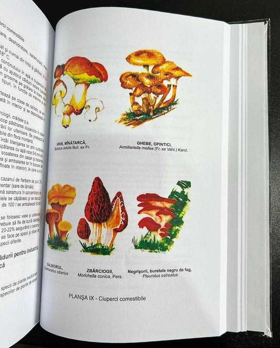 Cartea Pădurarului ediția 1997