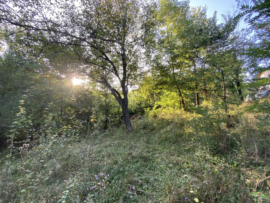 Vand teren in Breaza de Jos - 1788mp - strada Cerbului