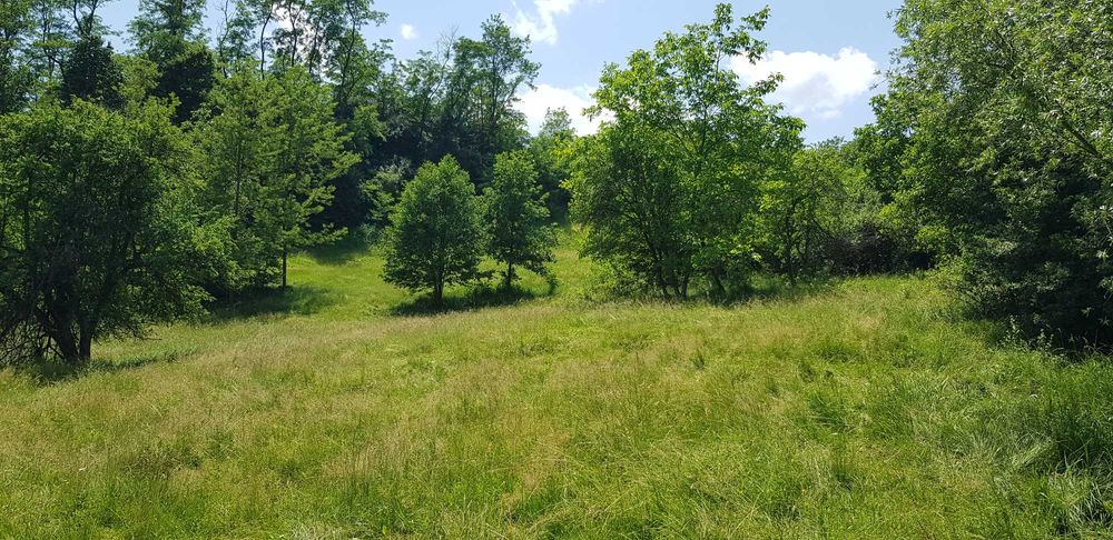 29.000mp lângă Curtea de Argeș, 2 căsuțe, curent electric și apă rețea