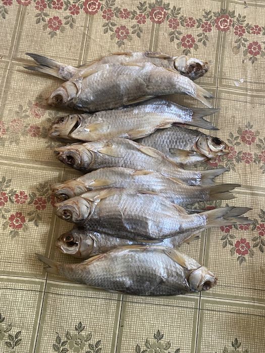 Вобла солённая осенная