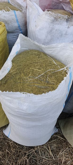 Лой самон сомон сотилади, майдаланган, ДКУда ўтказилган