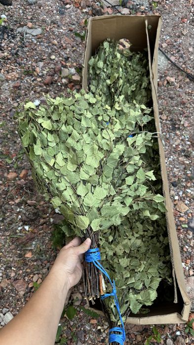 Березовые веники продам ! Оптом !