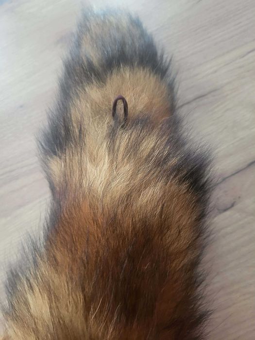 Яка естествен косъм лисица