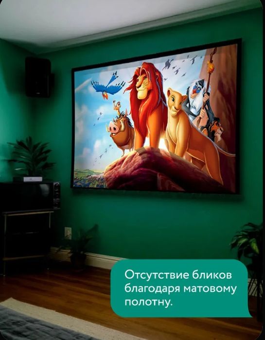 Экран для проектора 120" 16:9 (266х150 см)