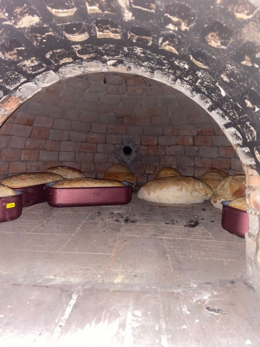 Cabana de inchiriat