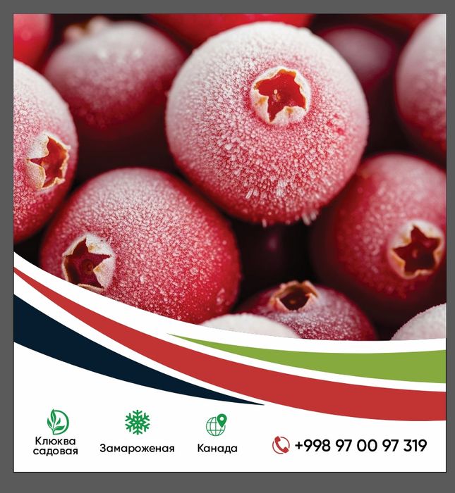 Клюква,замарозка, мин. 10кг со склада Ташкент